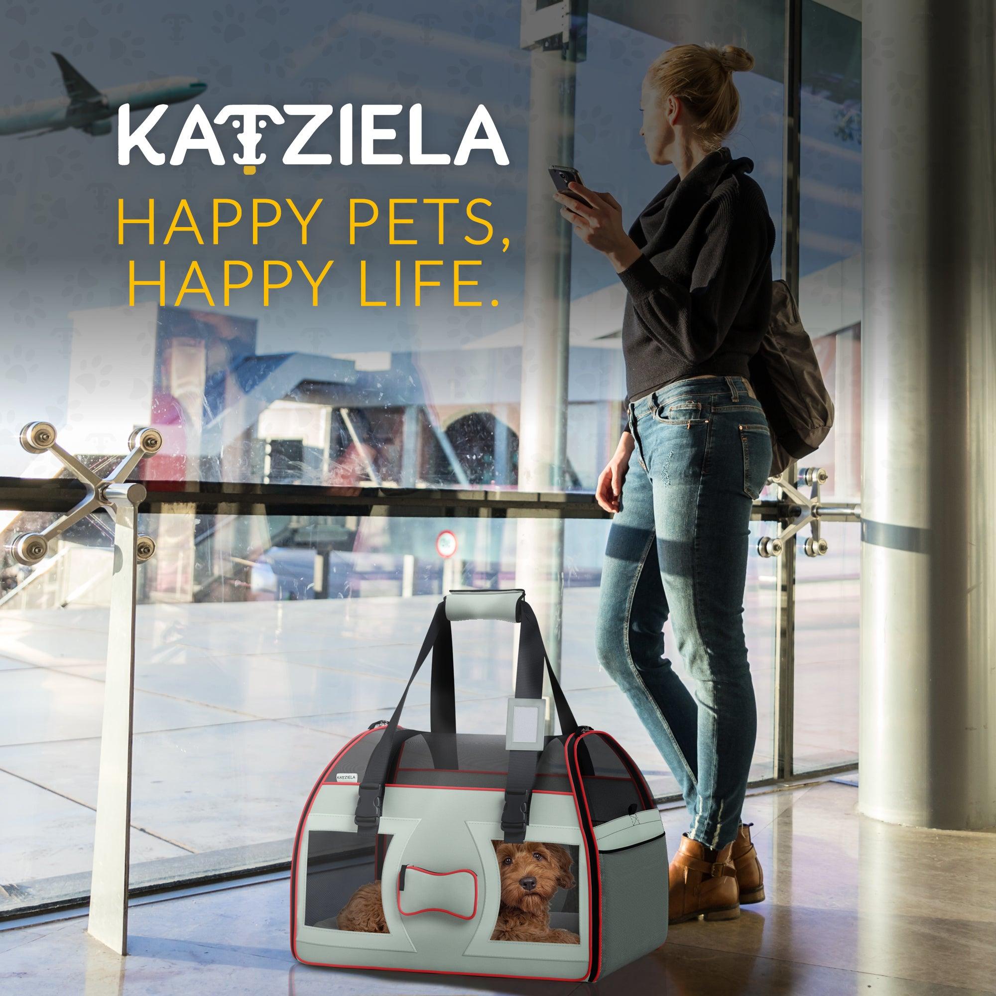 Bone Cruiser™ Pet Carrier with Removable Wheels and Telescopic Handle - Katziela