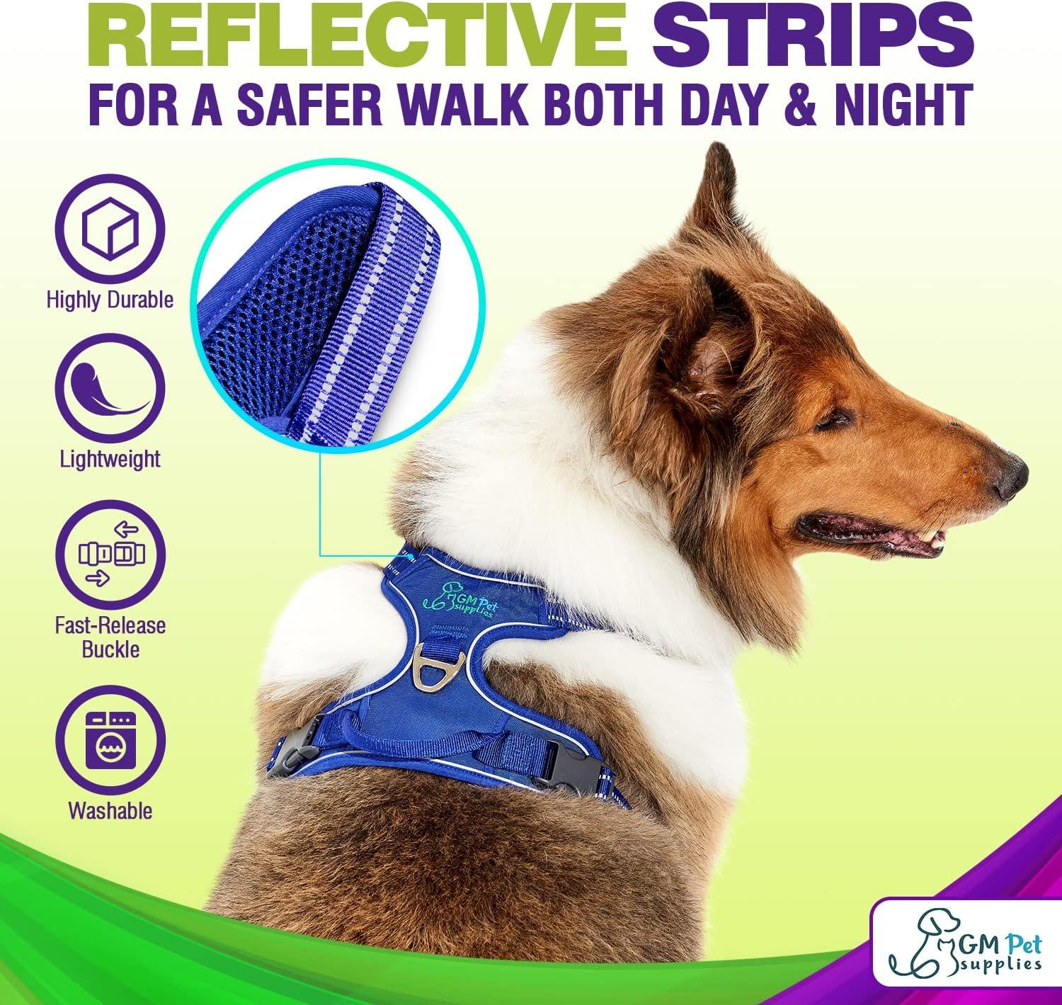 Dog Harness Walking kit and Leash Set - Katziela