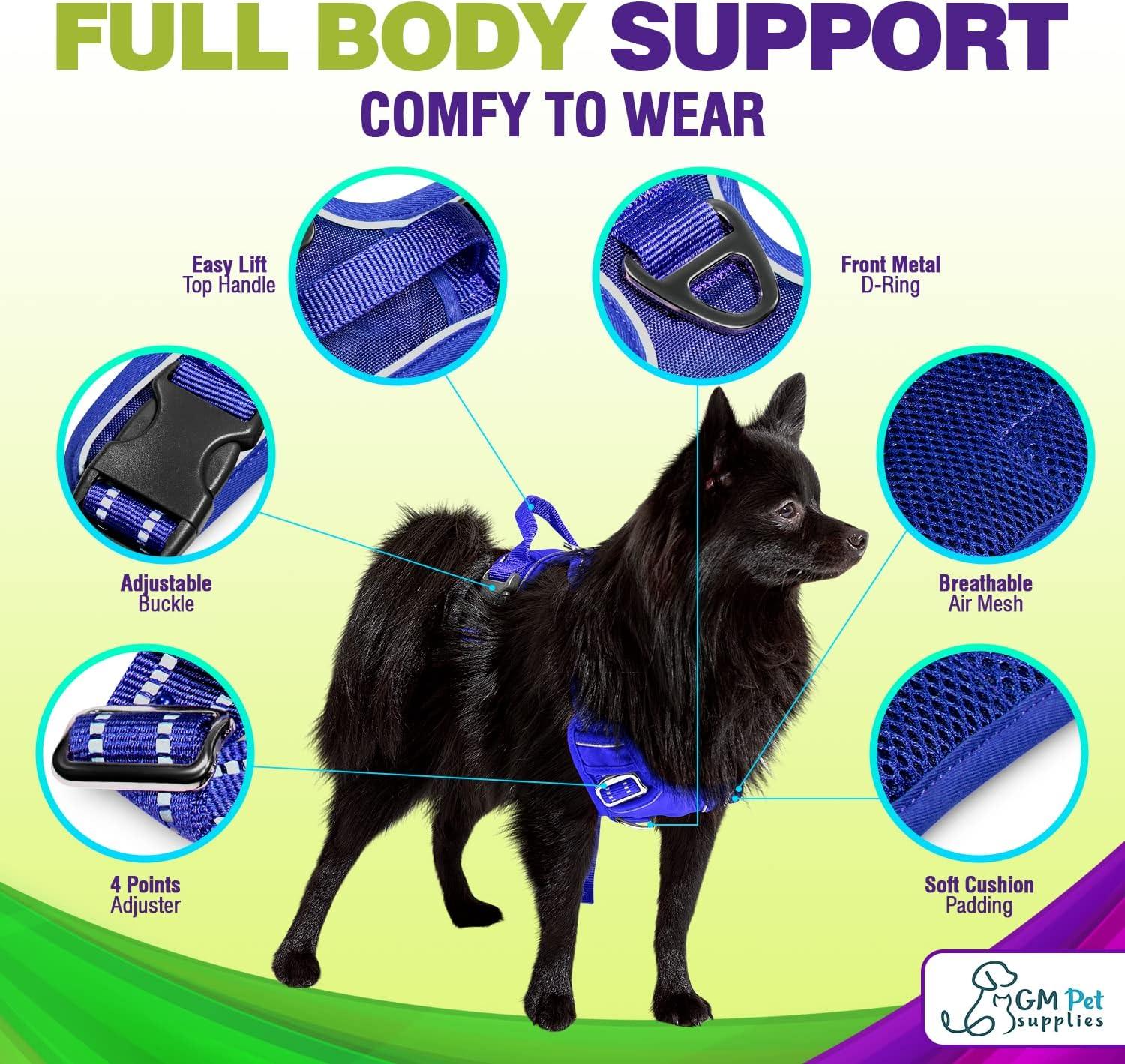 Dog Harness Walking kit and Leash Set - Katziela