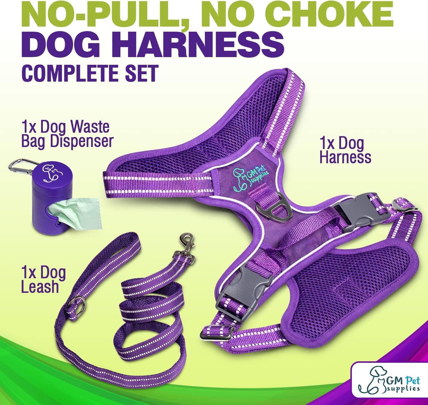 Dog Harness Walking kit and Leash Set - Katziela