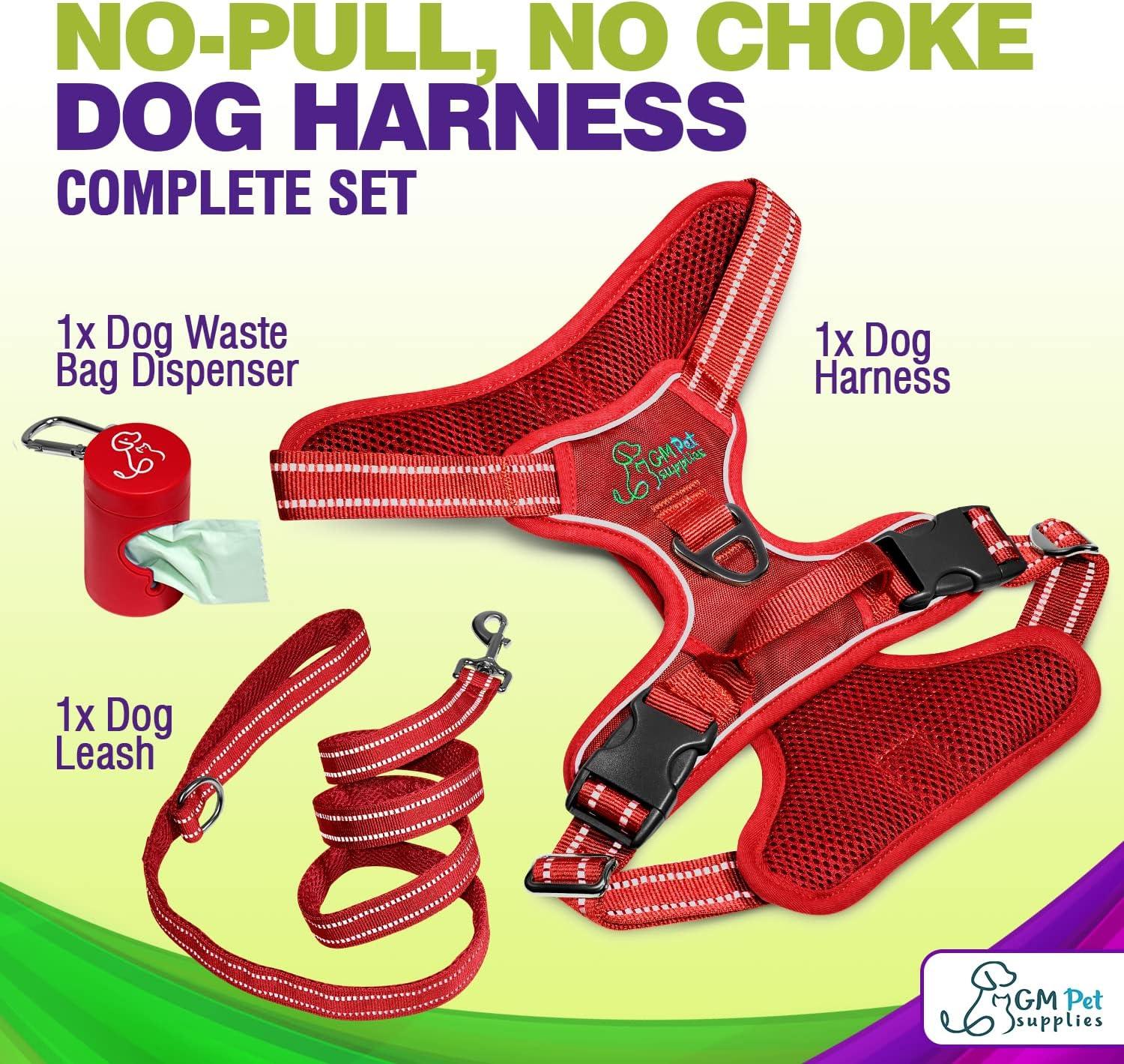 Dog Harness Walking kit and Leash Set - Katziela