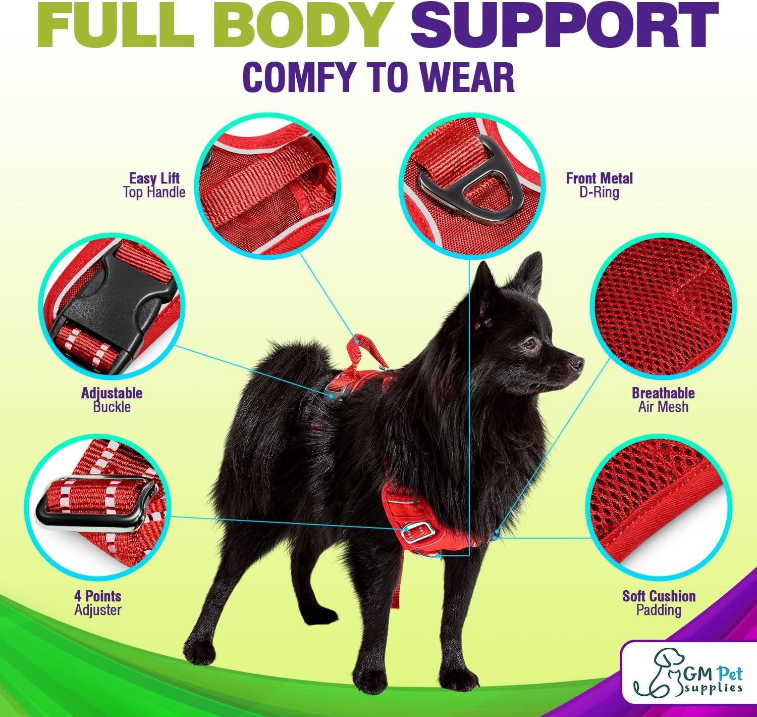 Dog Harness Walking kit and Leash Set - Katziela