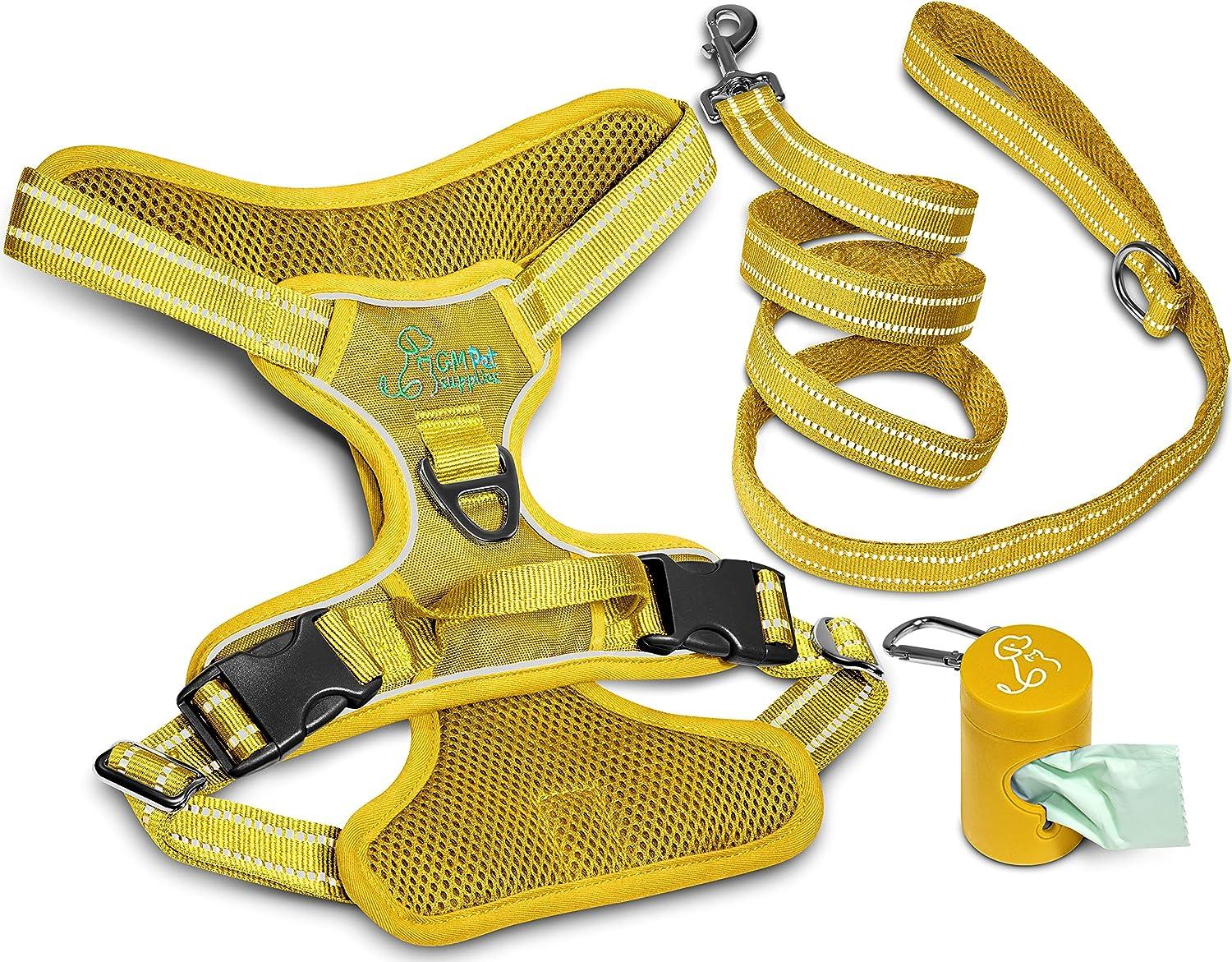 Dog Harness Walking kit and Leash Set - Katziela