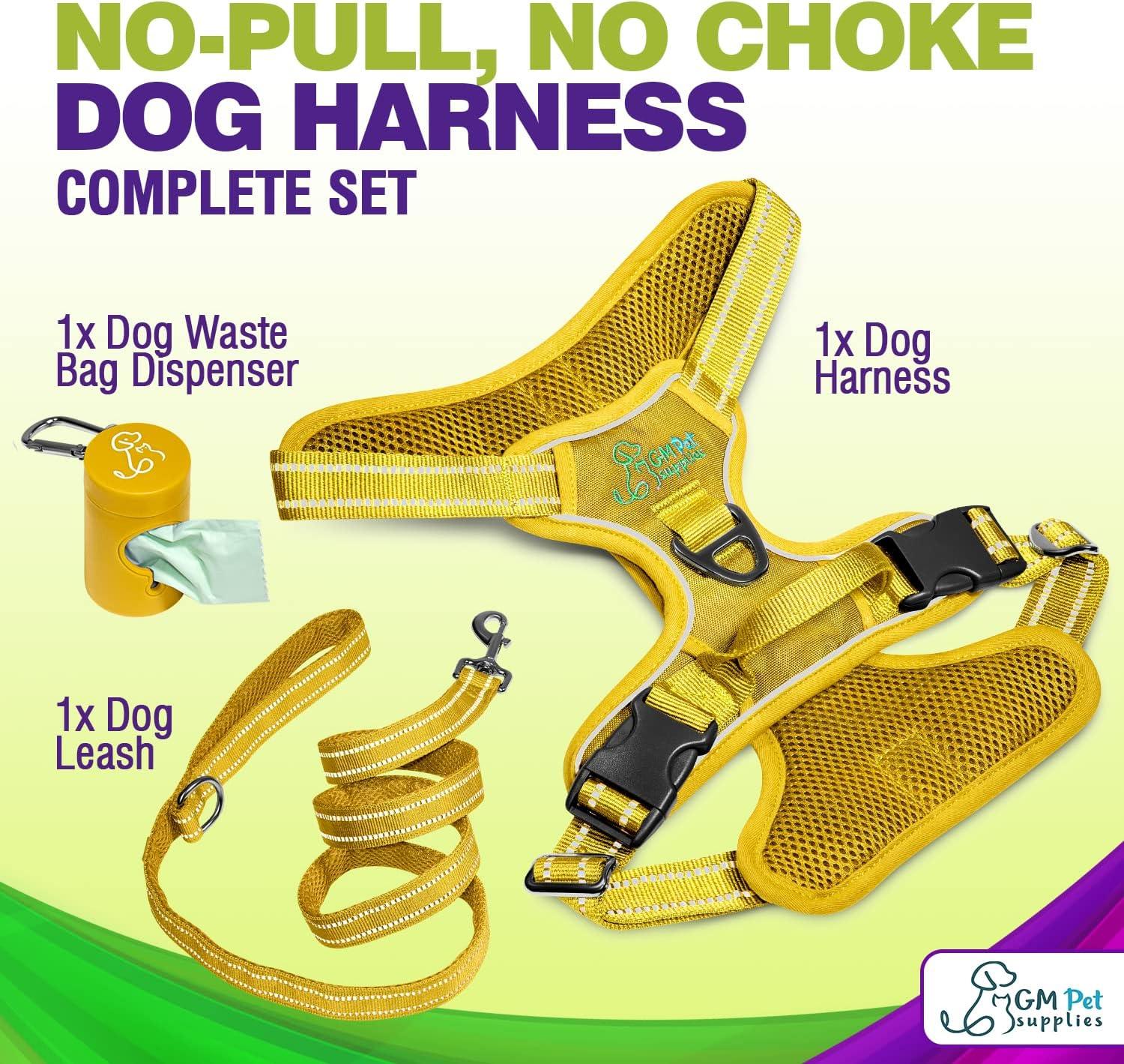 Dog Harness Walking kit and Leash Set - Katziela