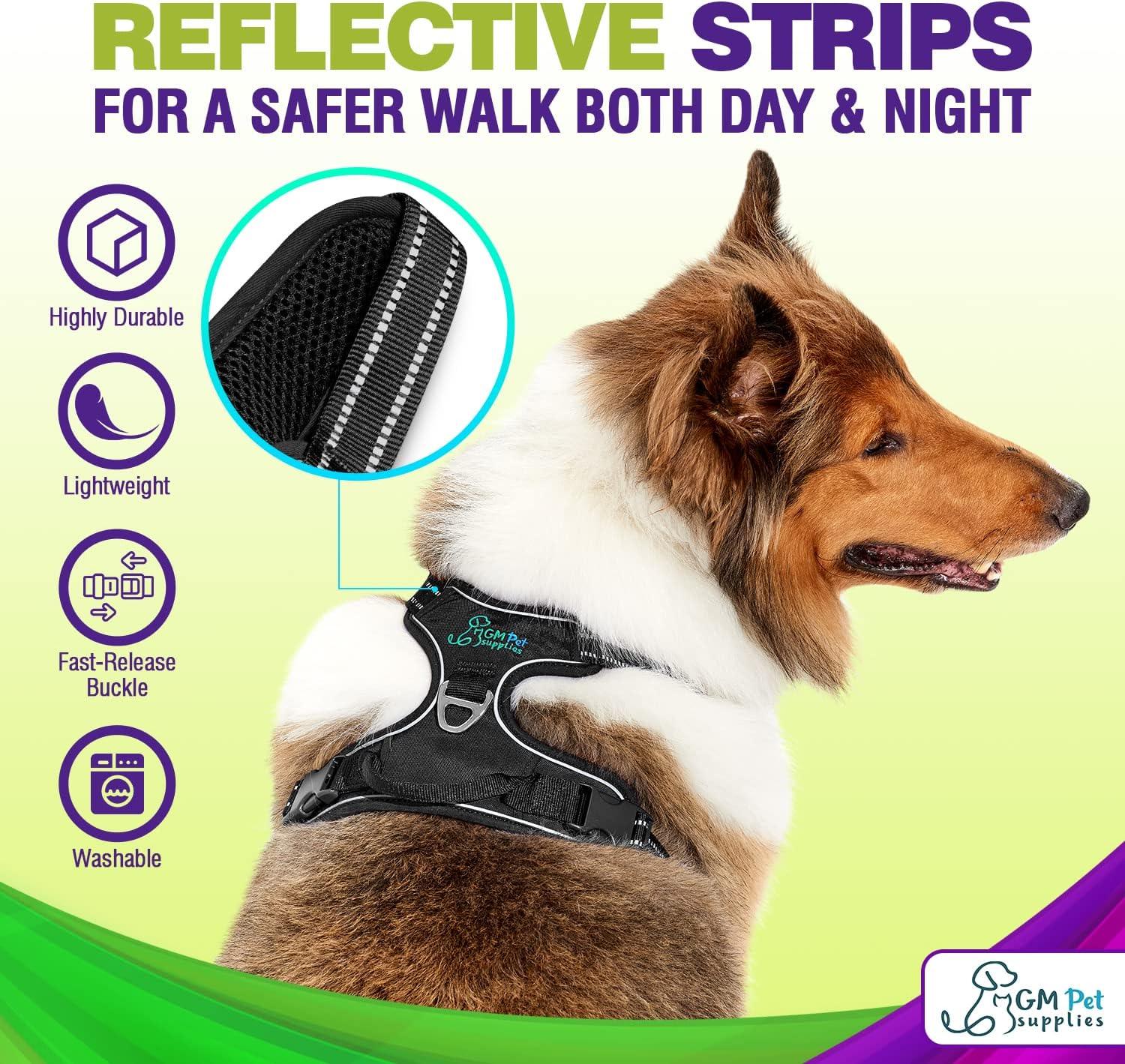 Dog Harness Walking kit and Leash Set - Katziela