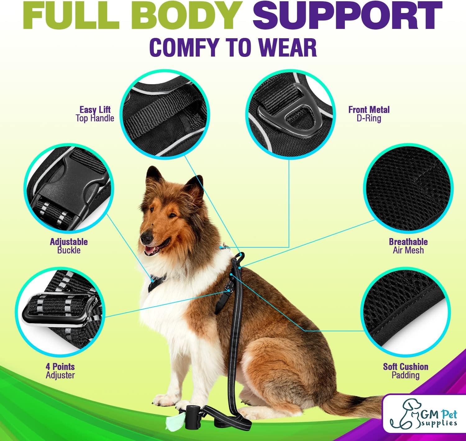 Dog Harness Walking kit and Leash Set - Katziela