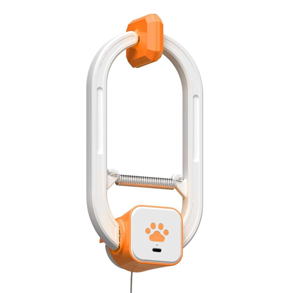 Katziela Interactive Teaser Cat Toy
