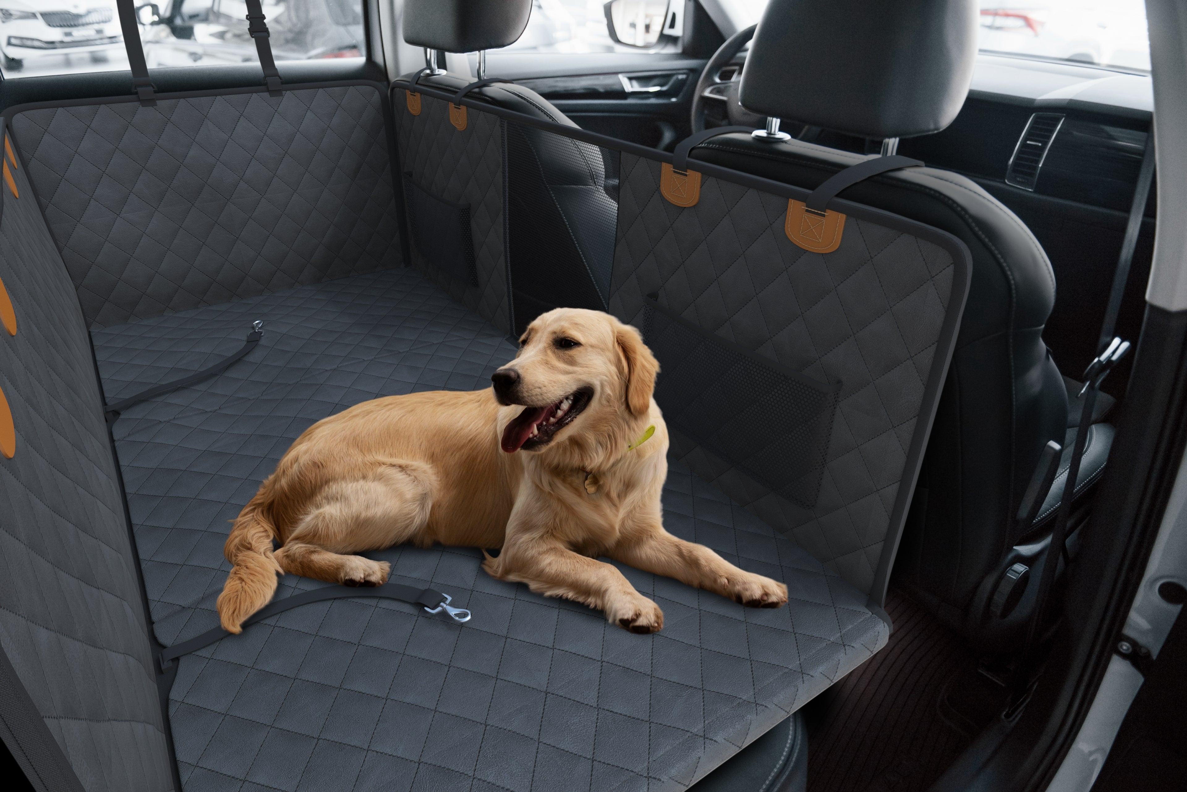 Dog guard for car back seat best sale