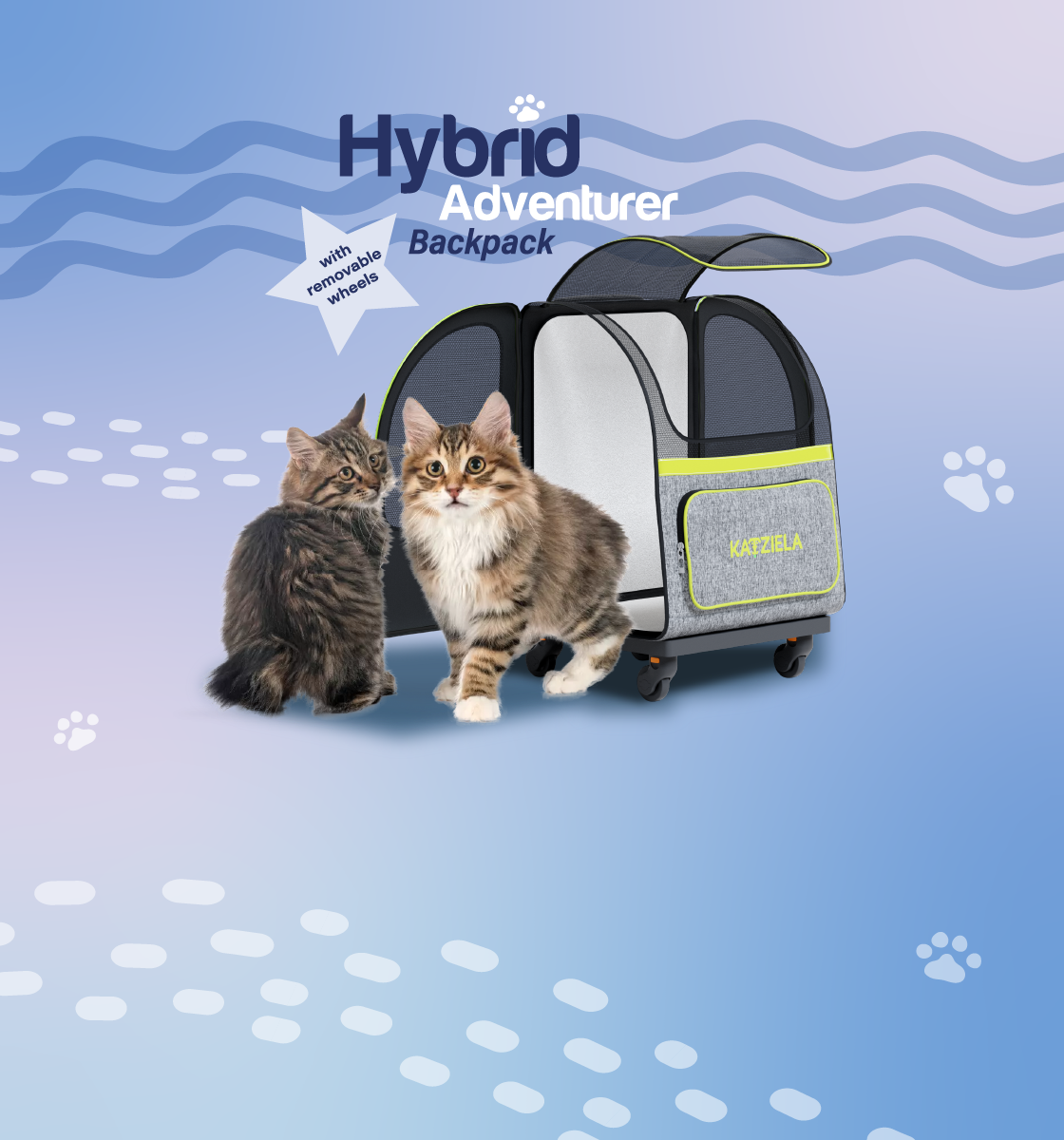 two puffy cats with katziela hybrid adventurer cat backpack