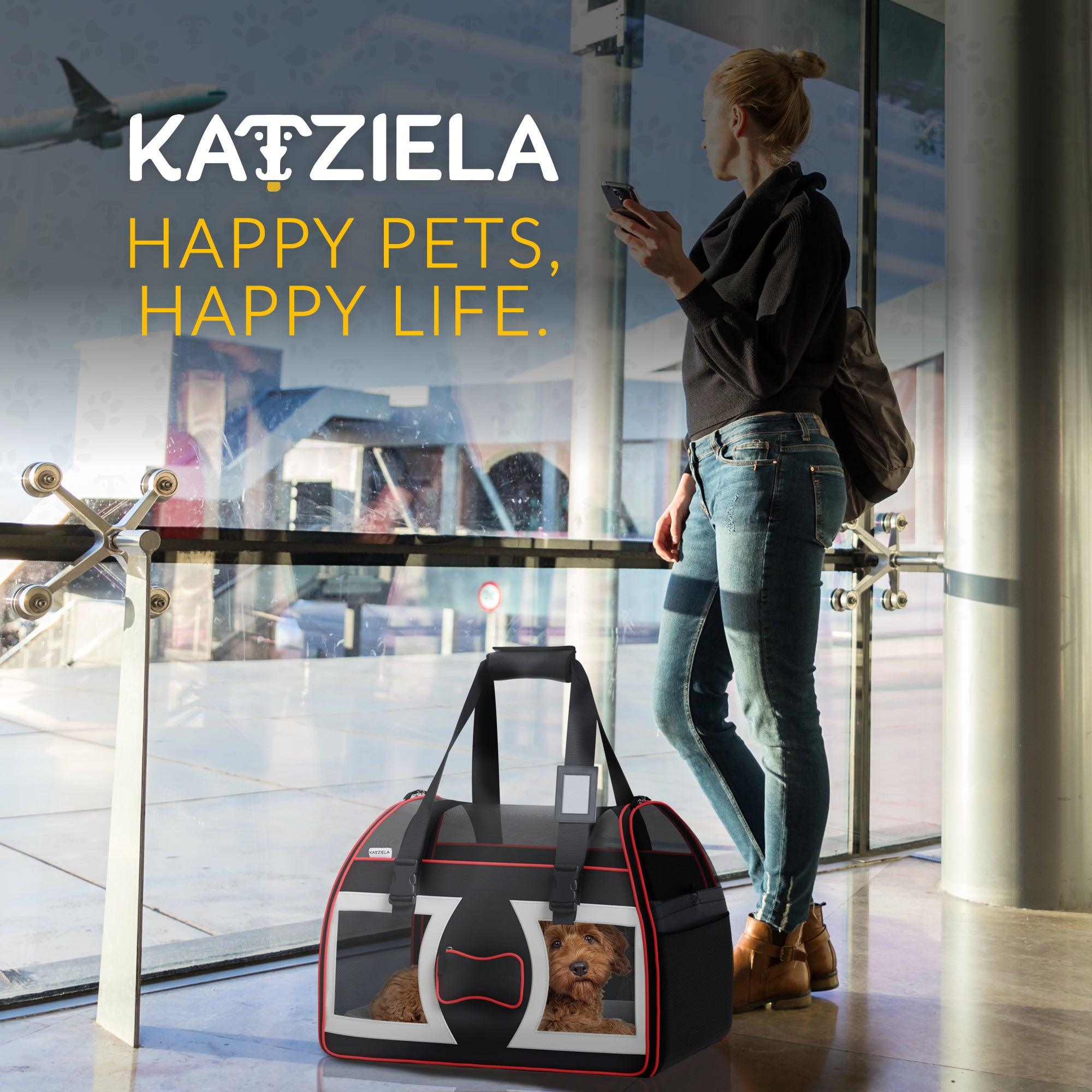Katziela Luxury Rider Pet Carrier with Removable Wheels and Handle Gray