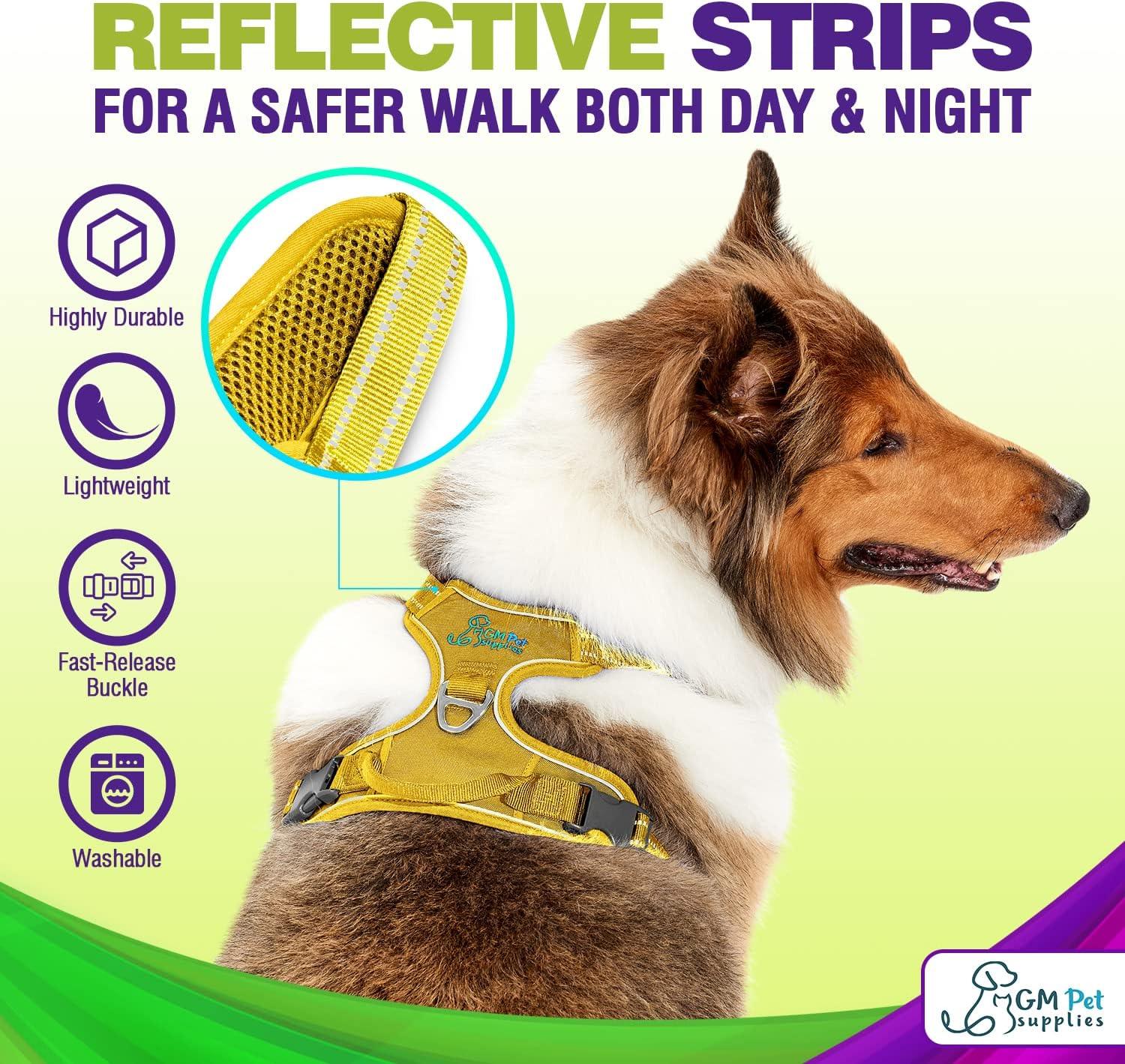 GM Pets Dog Harness Walking kit and Leash Set