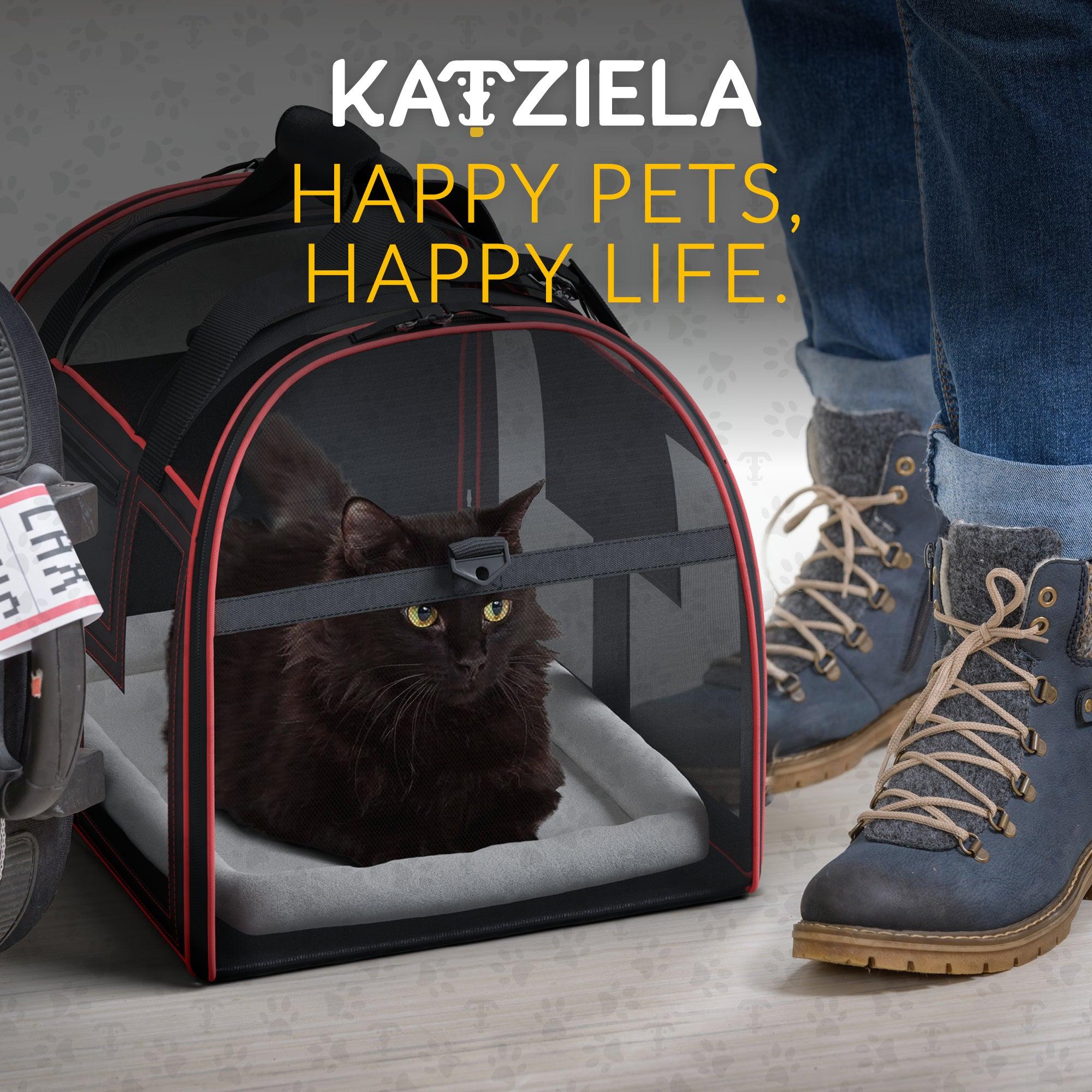 Katziela Rolling Pet Carrier Airline Approved – Pet Carrier with Wheels –  Luxury Lorry – Deluxe TSA Approved Cat Carrier with Wheels – Small Airline  Approved Dog Carrier Trolley – Plane Carry On Bag –