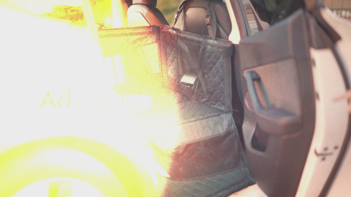 Katziela waterproof dog back seat cover in use