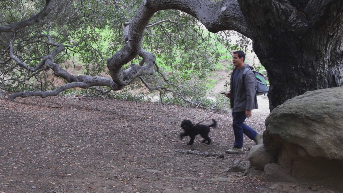 Katziela Voyager pet backpack product video