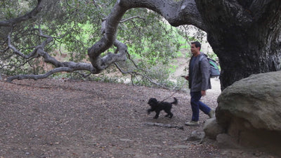 Katziela Voyager pet backpack product video