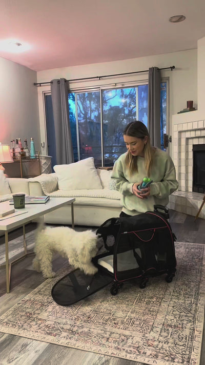 Katziela Luxury Rider pet carrier - Lily influencer video