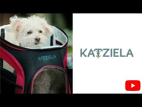 Voyager pet outlet carrier